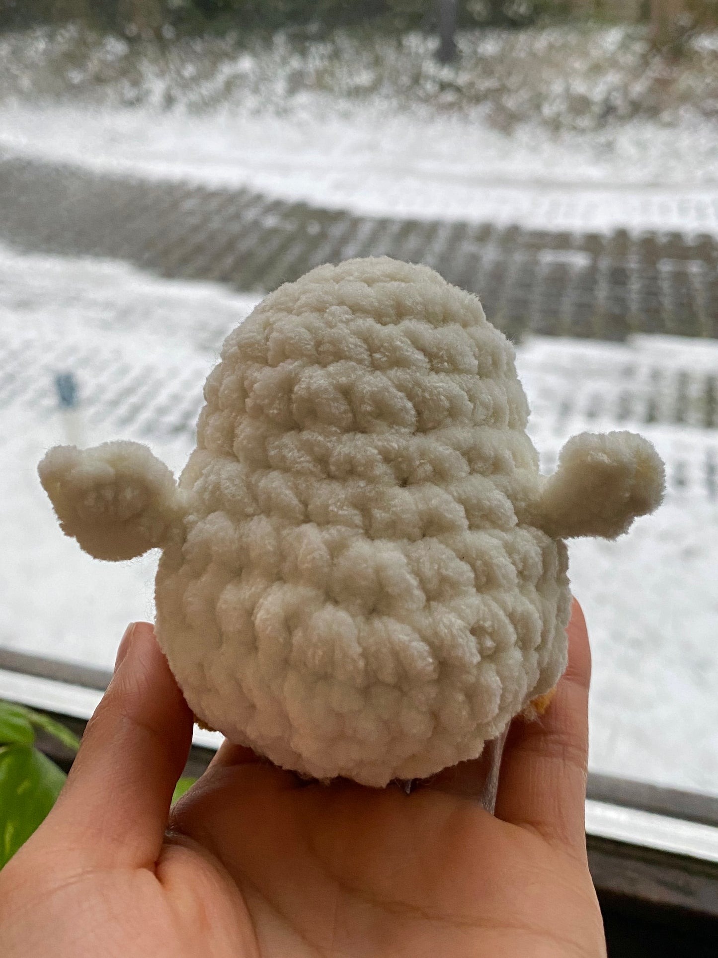 chonky - the crochet ducks!