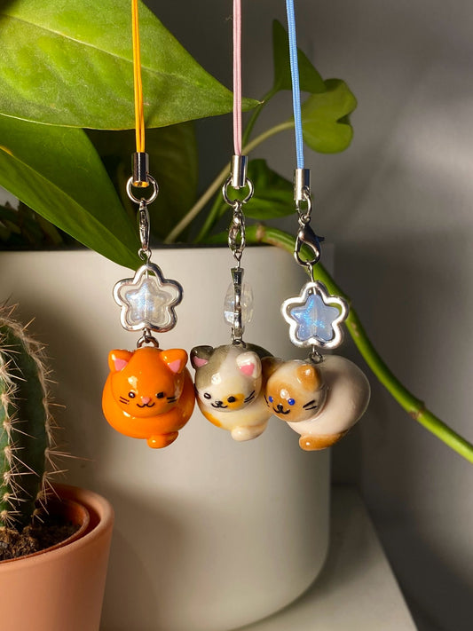 cat charms!