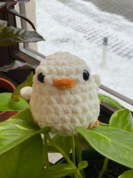 chonky - the crochet ducks!