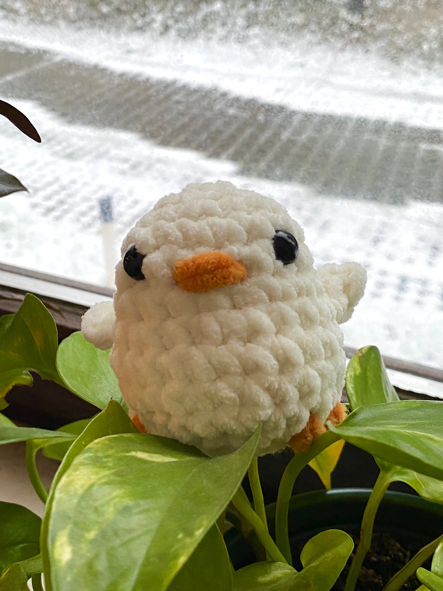 chonky - the crochet ducks!